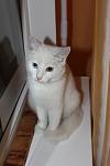     
: IMG_4795_1.jpg
: 32
:	54.3 
ID:	7484477