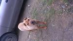     
: DSC_0469.jpg
: 11
:	108.4 
ID:	7486082