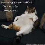     
: qlvqzXB-zOE.jpg
: 8
:	97.0 
ID:	7486807