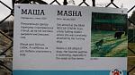     
: 20140106_153447.jpg
: 12
:	93.5 
ID:	7486860