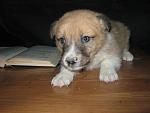     
: IMG_8291.jpg
: 7
:	114.8 
ID:	7488085