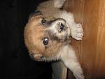     
: IMG_8290.jpg
: 4
:	112.0 
ID:	7488086