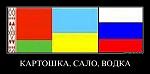     
: z2vu4mu5d8yc.jpg
: 8
:	27.2 
ID:	7488214