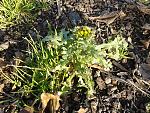     
: 20140107_141950.jpg
: 20
:	299.1 
ID:	7489028