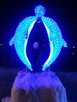     
: IMG_2576.JPG
: 22
:	109.1 
ID:	7489257