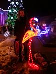     
: IMG_2575.JPG
: 24
:	143.3 
ID:	7489258