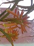     
: 05012014884.jpg
: 71
:	62.3 
ID:	7489587
