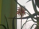     
: 05012014885.jpg
: 60
:	84.7 
ID:	7489588