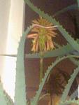     
: 02012014880.jpg
: 63
:	65.5 
ID:	7489589