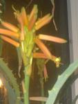     
: 02012014879.jpg
: 49
:	55.7 
ID:	7489590