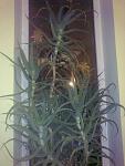     
: 02012014881.jpg
: 54
:	93.2 
ID:	7489591