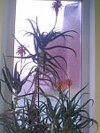     
: 05012014882.jpg
: 54
:	89.4 
ID:	7489592