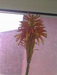     
: 05012014887.jpg
: 59
:	52.4 
ID:	7489593