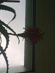     
: 05012014883.jpg
: 55
:	46.3 
ID:	7489594