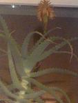     
: 02012014878.jpg
: 60
:	62.2 
ID:	7489595