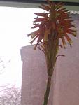     
: 05012014886.jpg
: 55
:	52.1 
ID:	7489598