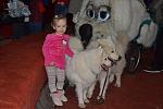     
: DSC_2056.jpg
: 12
:	97.4 
ID:	7489630