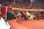     
: DSC_2034.jpg
: 8
:	140.1 
ID:	7489634