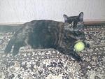     
: Фото-0418.jpg
: 4
:	143.6 
ID:	7490505