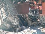     
: Фото-0453.jpg
: 3
:	142.4 
ID:	7490507