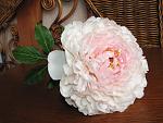     
:  2014 063.jpg
: 4
:	117.6 
ID:	7490629