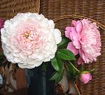     
:  2014 081.jpg
: 4
:	158.8 
ID:	7490634