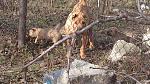     
: DSC_0477.jpg
: 12
:	163.9 
ID:	7490763