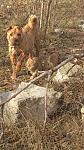     
: DSC_0474.jpg
: 8
:	117.7 
ID:	7490767