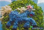     
: 1387131179_novogodniy-salat-sinyaya-loshadka.jpg
: 10
:	34.5 
ID:	7490947