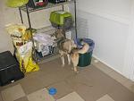     
: IMG_8516.jpg
: 11
:	117.3 
ID:	7491288