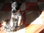     
: IMG_2016.jpg
: 7
:	118.1 
ID:	7494459