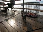     
: IMG_1998.jpg
: 4
:	198.2 
ID:	7494468