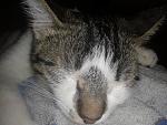     
: 20140108_164518.jpg
: 4
:	148.5 
ID:	7495122