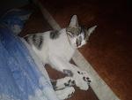     
: 20140108_121645.jpg
: 5
:	106.2 
ID:	7495124