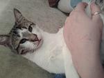     
: 20131229_221924.jpg
: 9
:	97.8 
ID:	7495128