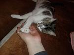     
: 20131225_220443.jpg
: 5
:	96.1 
ID:	7495131