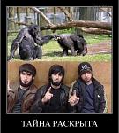     
: 718e6a5925c9b6db591412e2835a8a2c.jpg
: 36
:	45.7 
ID:	7495504