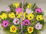     
: DSC05731.jpg
: 47
:	231.5 
ID:	7495605