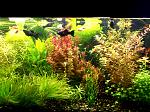     
: IMG_05-01-2014_105307.jpg
: 18
:	241.2 
ID:	7496224