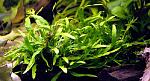     
: 2014-01-09_122624.jpg
: 6
:	118.4 
ID:	7496756