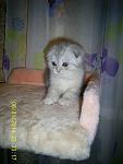     
: PIC_0013.jpg
: 19
:	70.0 
ID:	7502909