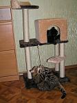     
: P1100750_30 (2).jpg
: 18
:	174.9 
ID:	7503900