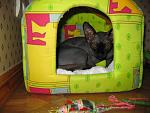     
: IMG_0019.jpg
: 53
:	118.3 
ID:	750775
