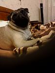     
: IMG_20131205_181850.jpg
: 29
:	68.0 
ID:	7508678