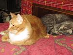     
: IMG_5567.jpg
: 2
:	130.7 
ID:	7509250