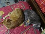     
: IMG_5570.jpg
: 3
:	142.9 
ID:	7509257