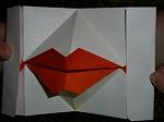     
: P1000316.JPG
: 6
:	17.9 
ID:	7509510
