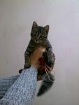     
: 110120141101.jpg
: 18
:	58.5 
ID:	7509769