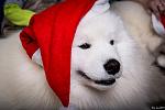     
: 6kHZH6PRW7cвап.jpg
: 14
:	169.3 
ID:	7509827