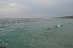     
: DSC_0872.jpg
: 20
:	85.4 
ID:	7511489